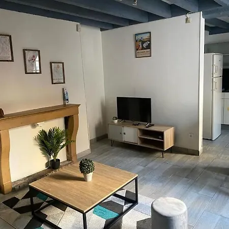 Lägenhet Duplex Au Coeur De Dijon