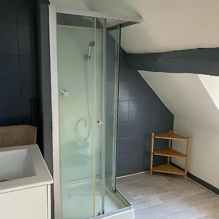 Lägenhet Duplex Au Coeur De Dijon