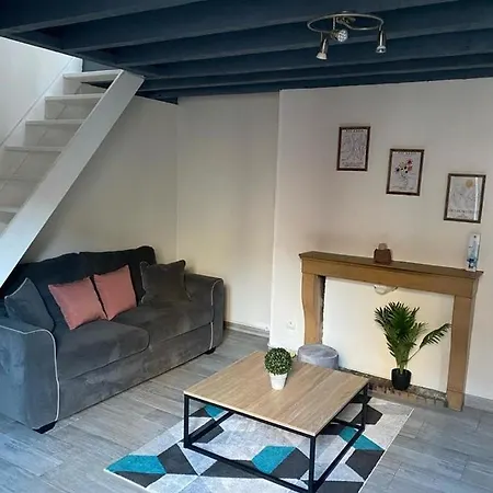 Duplex Au Coeur De Dijon