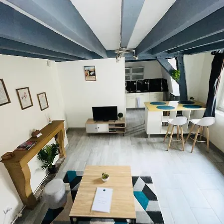 Apartment Duplex Au Coeur De Dijon