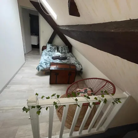Duplex Au Coeur De Dijon