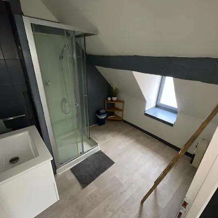 Duplex Au Coeur De Dijon